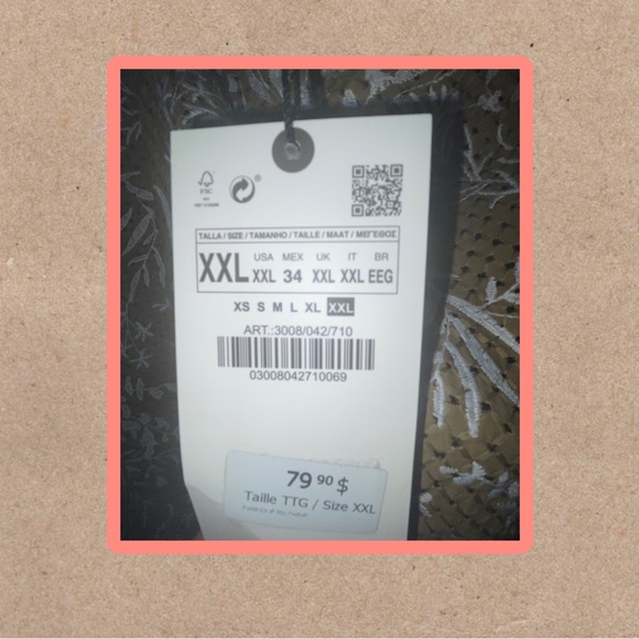 Zara embroidered midi skirt. Size XXL. New with tags. - Picture 2 of 3